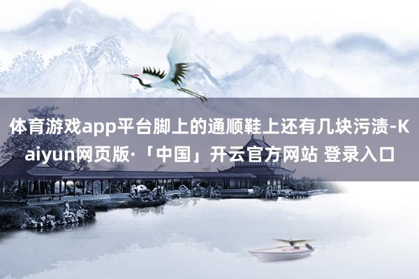 体育游戏app平台脚上的通顺鞋上还有几块污渍-Kaiyun网页版·「中国」开云官方网站 登录入口