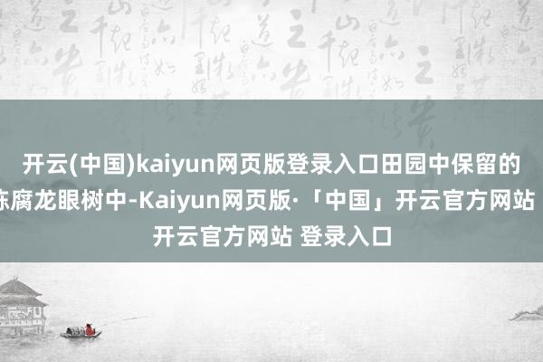 开云(中国)kaiyun网页版登录入口田园中保留的20多棵陈腐龙眼树中-Kaiyun网页版·「中国」开云官方网站 登录入口